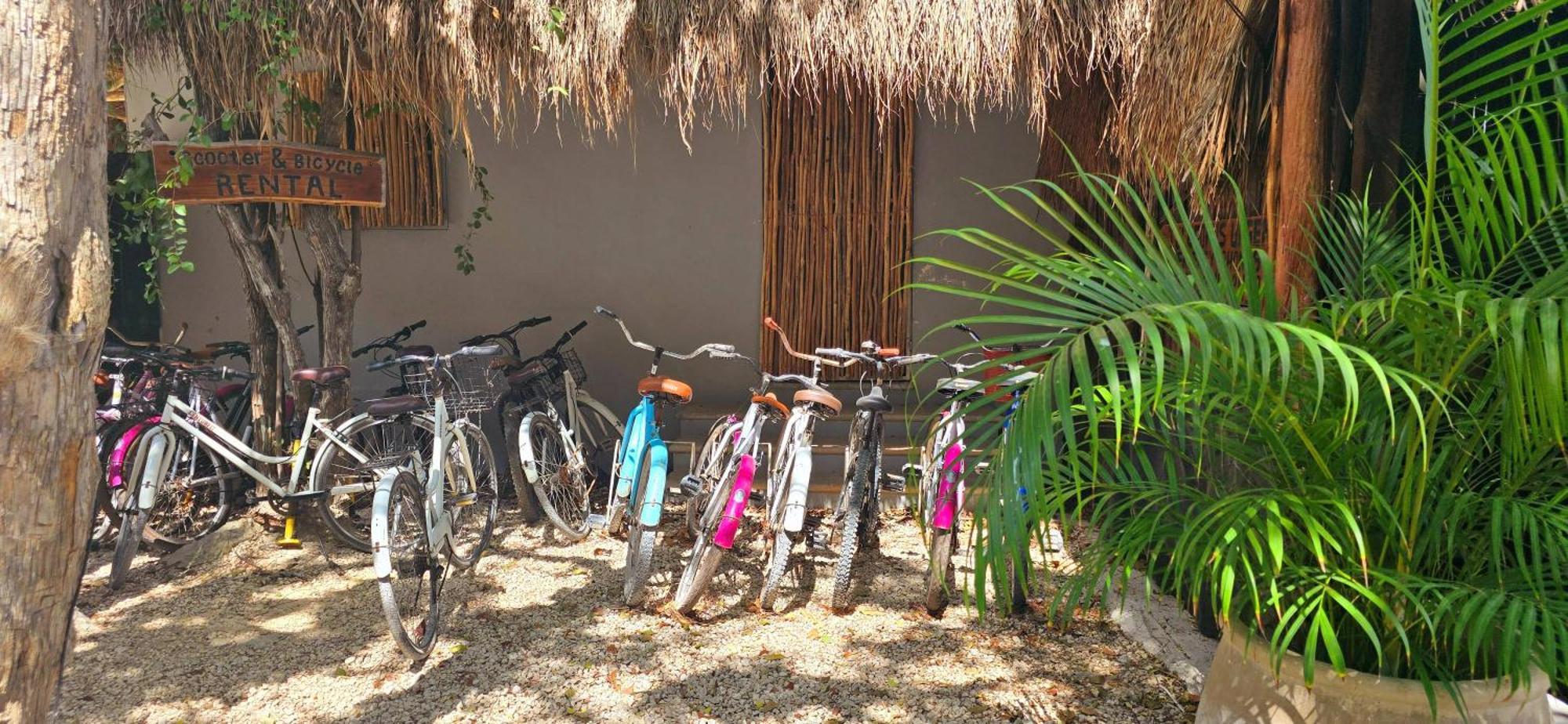 Hotel Kin Tulum Jungle Deluxe Exterior photo